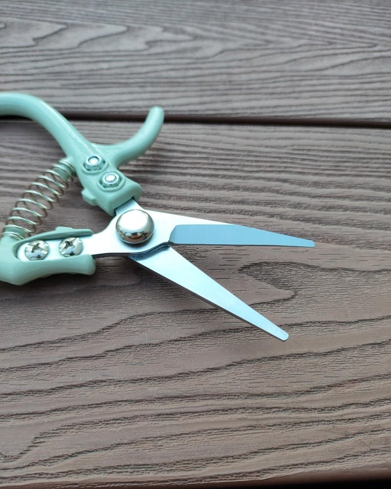 Fondwell 6" Pruning Shears Garden Scissors: Ultra Sharp Garden Clippers - Reliable Flower Snips for Trimming Small Plants - Image 3